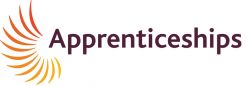 dual apprenticeships col logo aub 1024x354